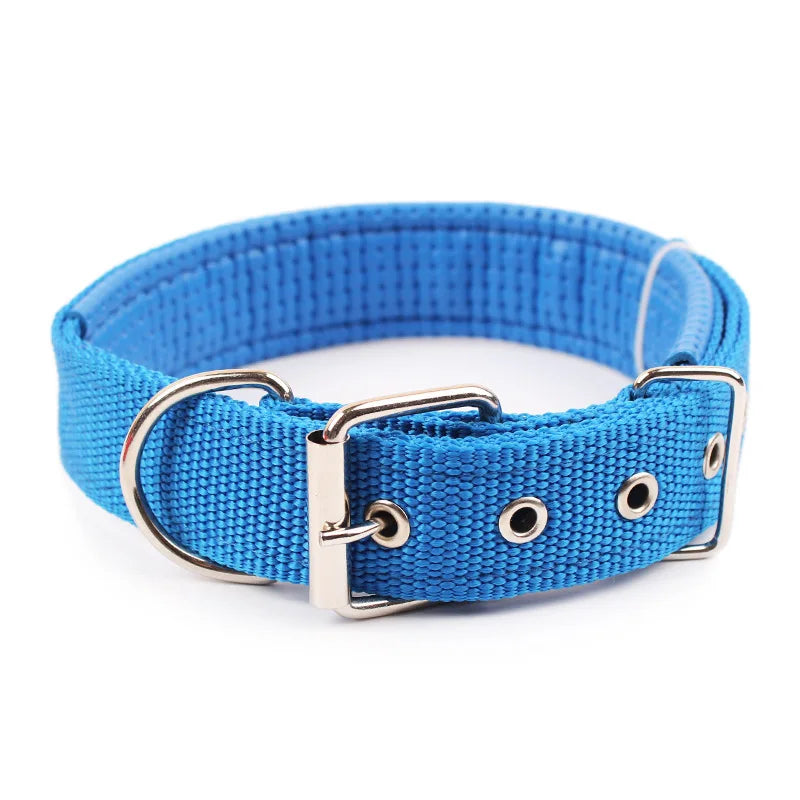 Collier pour chien en nylon uni – CLEVI Paris