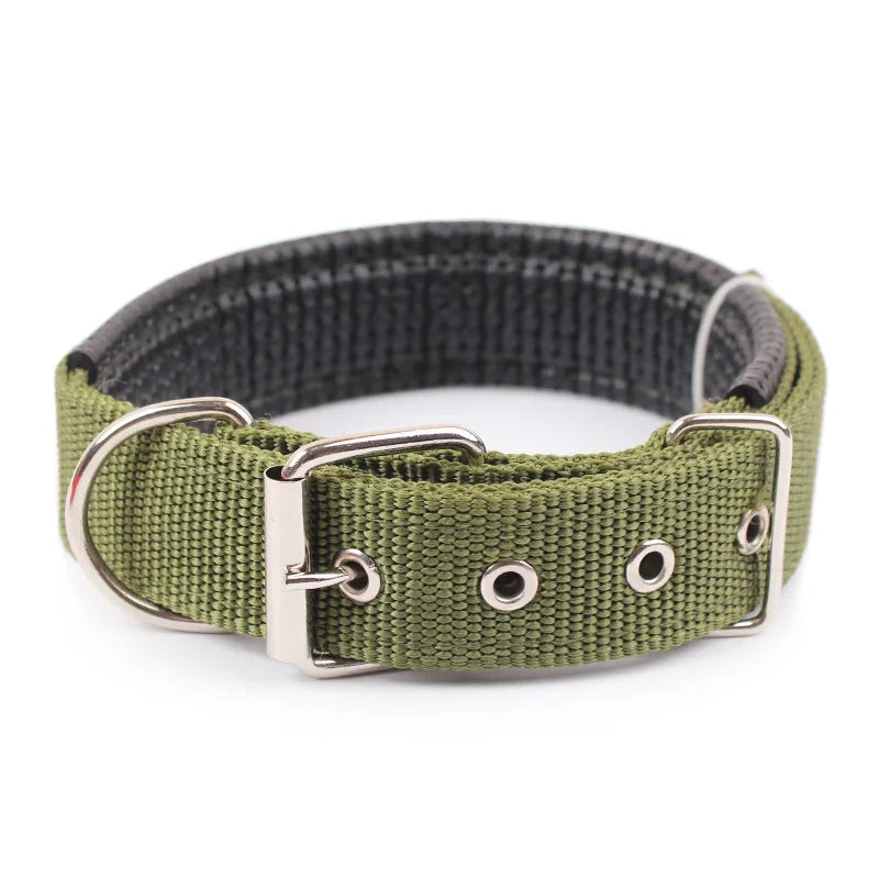Collier pour chien en nylon uni – CLEVI Paris