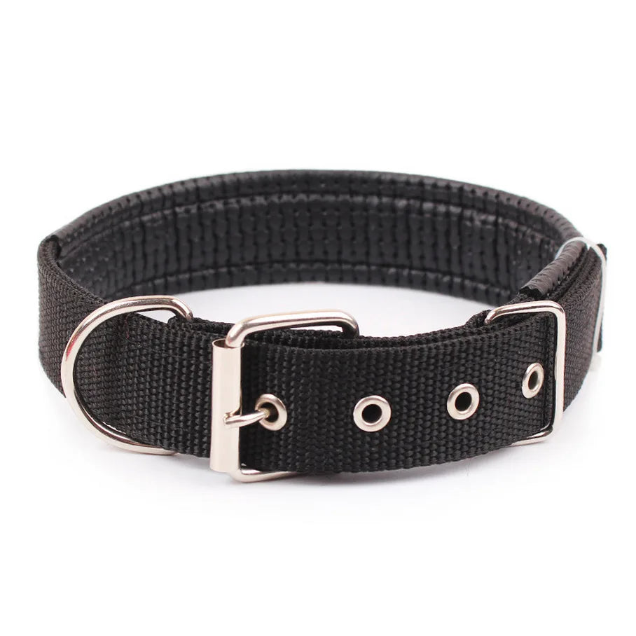 Collier pour chien en nylon uni – CLEVI Paris