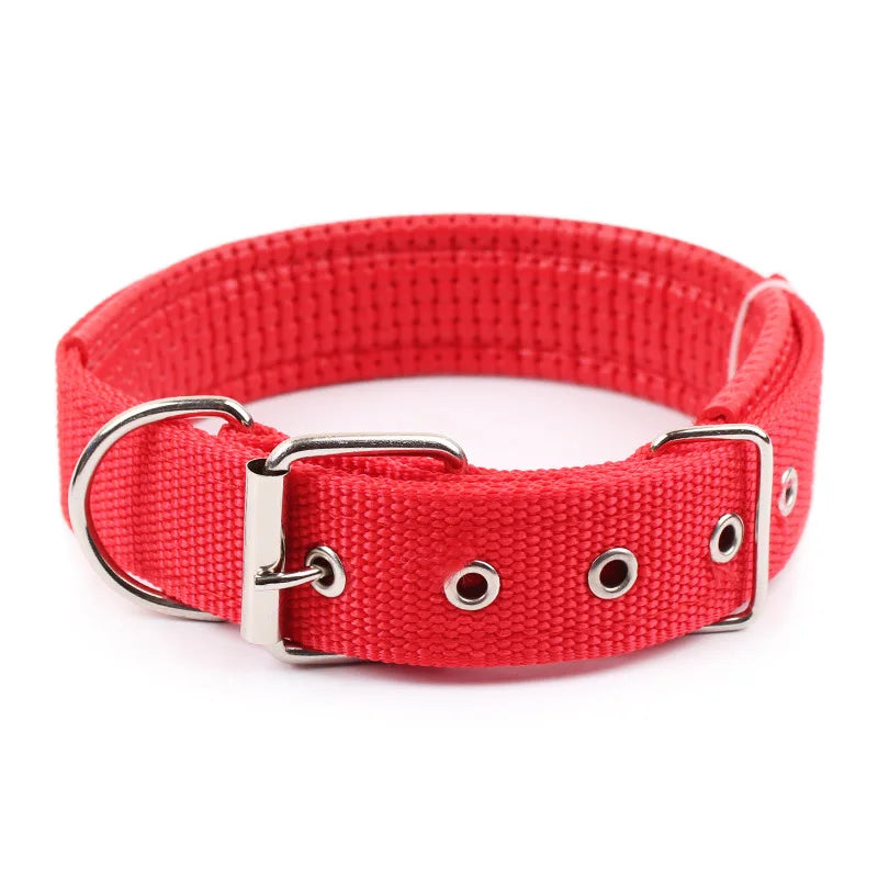 Collier pour chien en nylon uni – CLEVI Paris