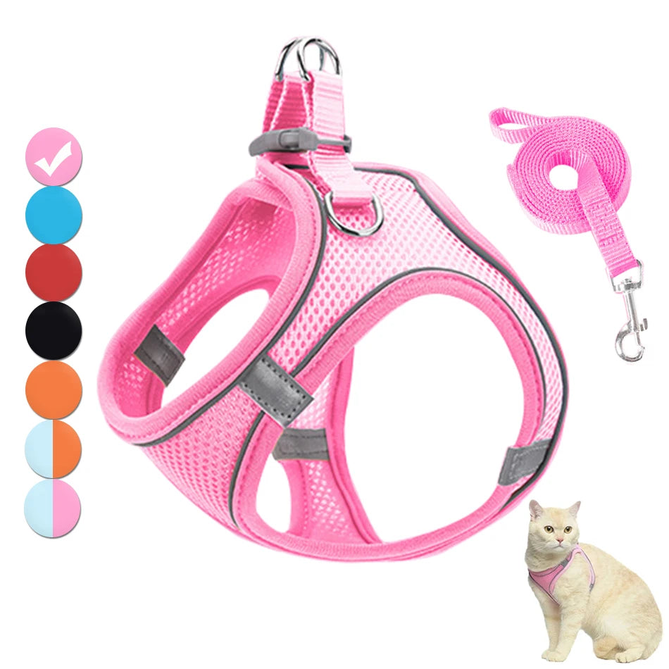 Harnais réfléchissant chat et petit chien – CLEVI Paris