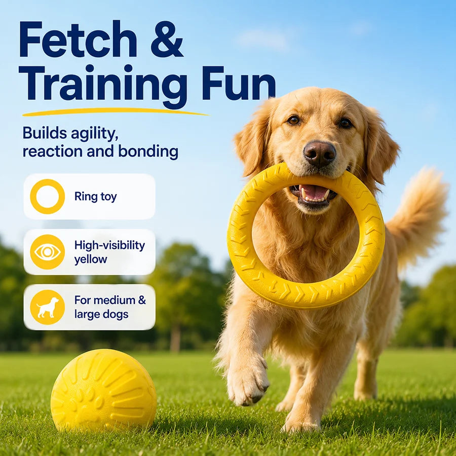 Ensemble de jouets pour chien – CLEVI Paris