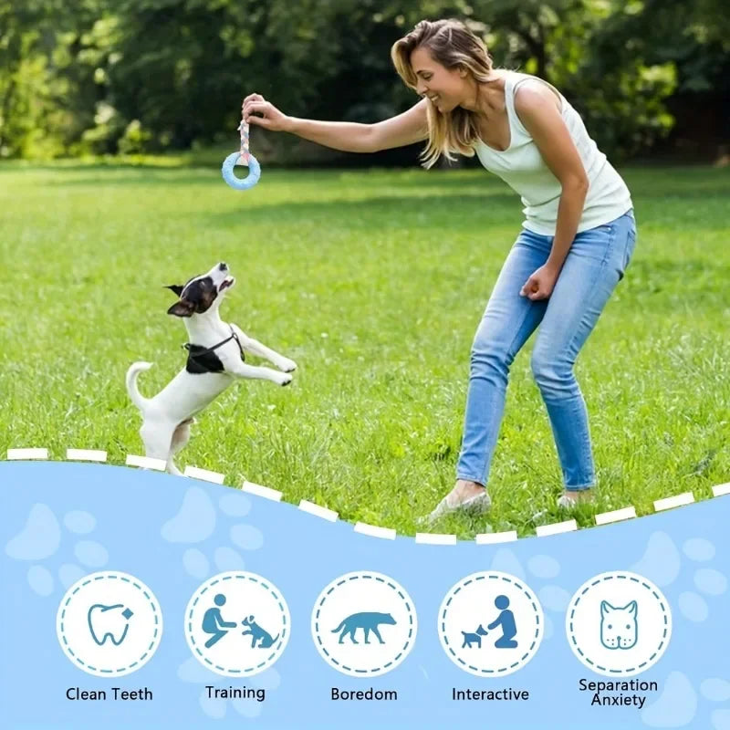Jouets à mâcher pour chiot, lot de 3 – CLEVI Paris