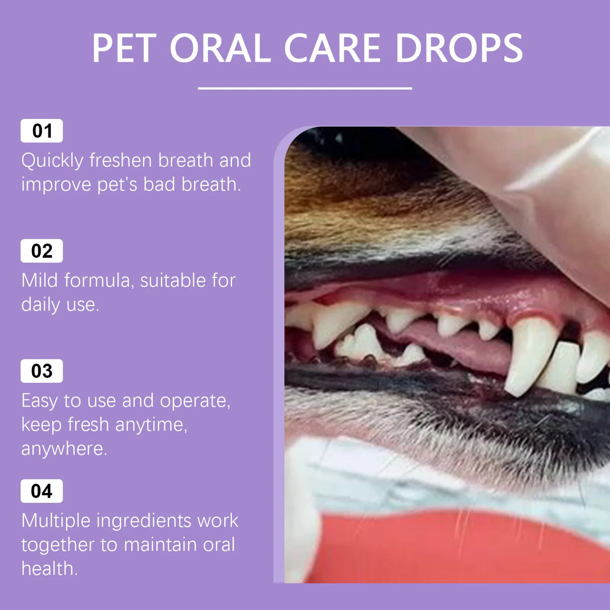 Spray buccal chien et chat 50 ml – CLEVI Paris