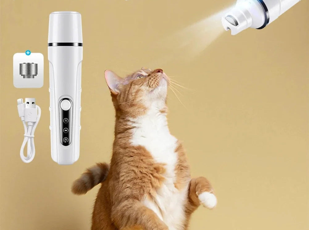 Lime à griffes rechargeable LED chien et chat – CLEVI Paris