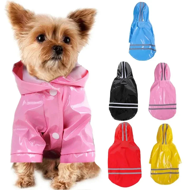 Imperméable réfléchissant pour petit chien – CLEVI Paris
