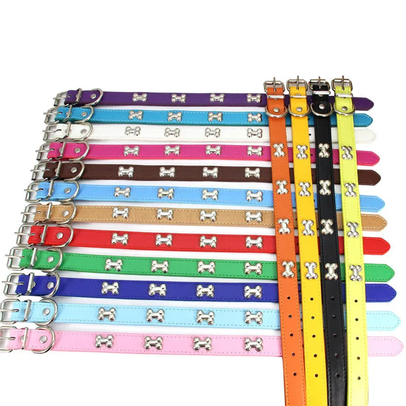 Collier pour chien en cuir multicolore – CLEVI Paris