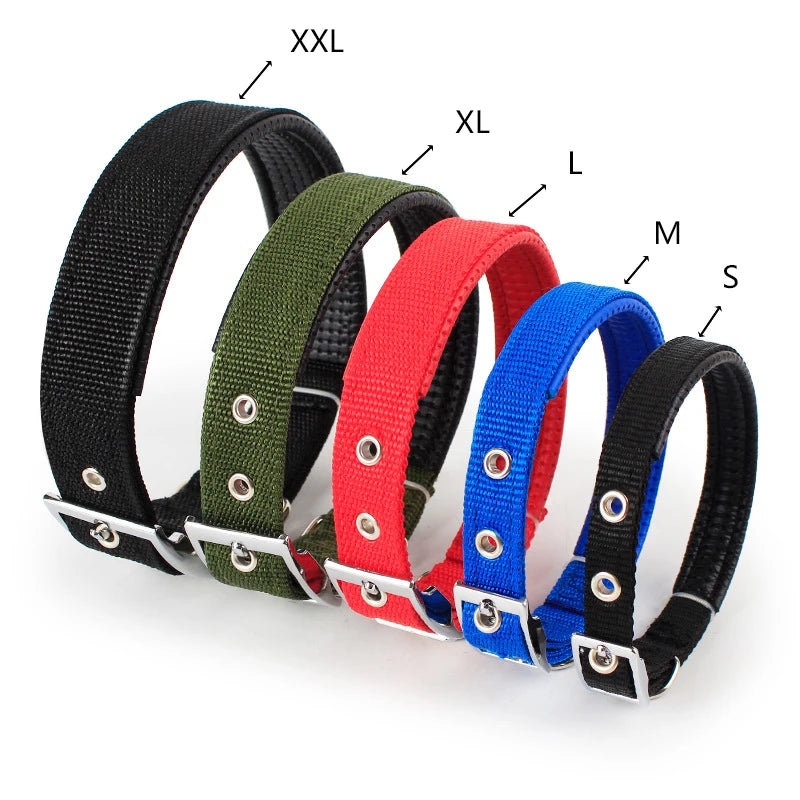 Collier pour chien en nylon uni – CLEVI Paris