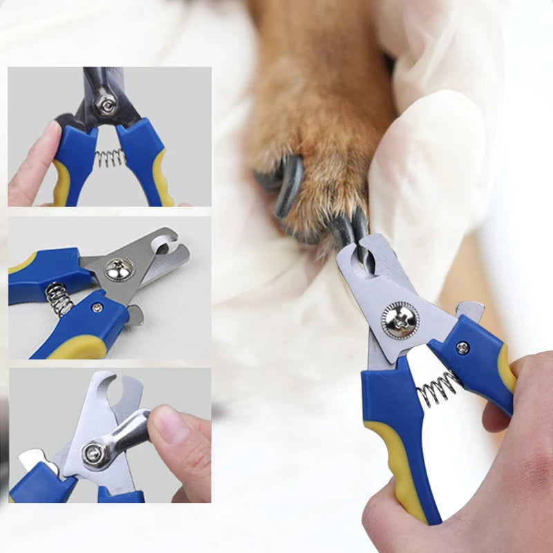 Kit de toilettage chien et chat 8 pièces – CLEVI Paris