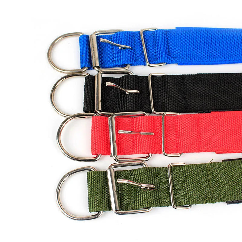 Collier pour chien en nylon uni – CLEVI Paris