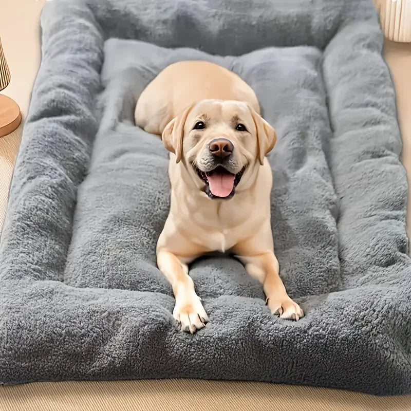 Coussin rectangulaire pour chien et chat – CLEVI Paris