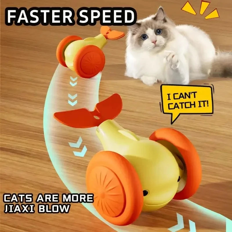 Jouet interactif électrique pour chat – CLEVI Paris