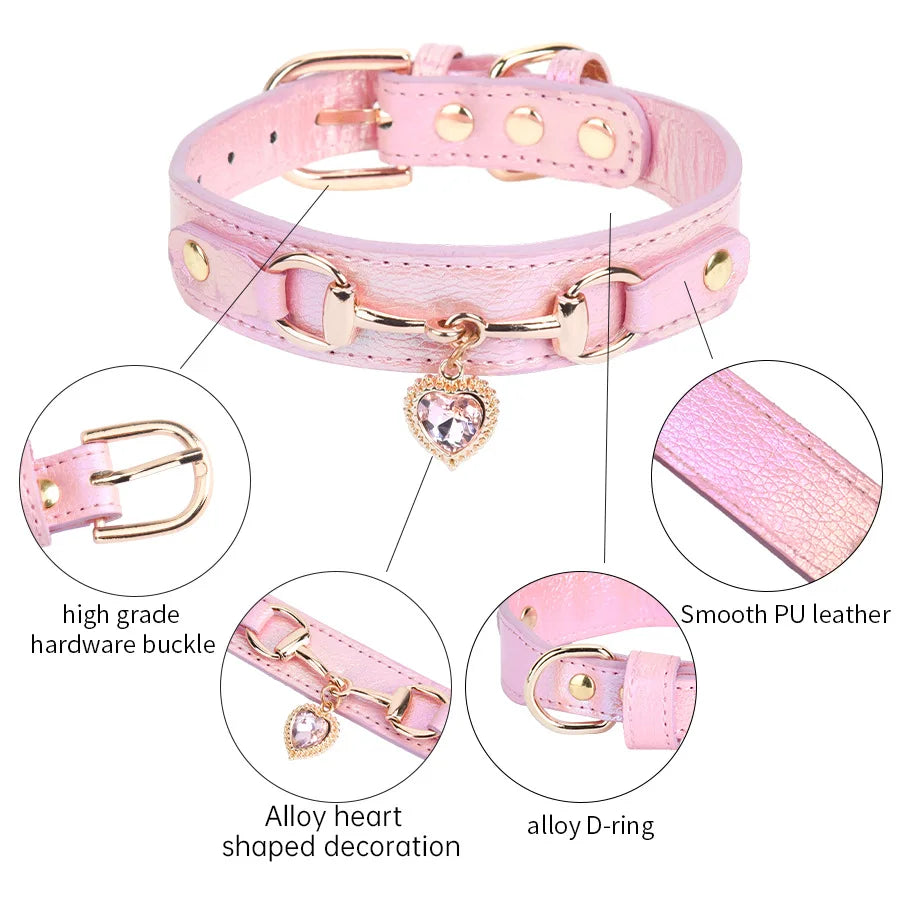 Collier pour chien en cuir et strass réglable – CLEVI Paris