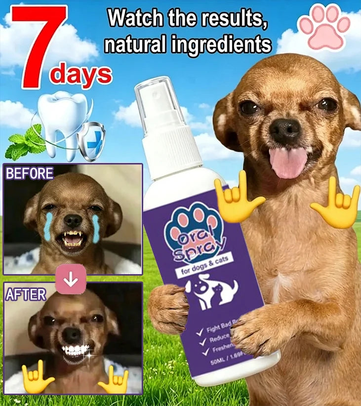 Spray d’hygiène buccale pour animaux – CLEVI Paris