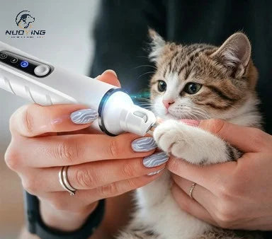 Lime à griffes rechargeable LED chien et chat – CLEVI Paris