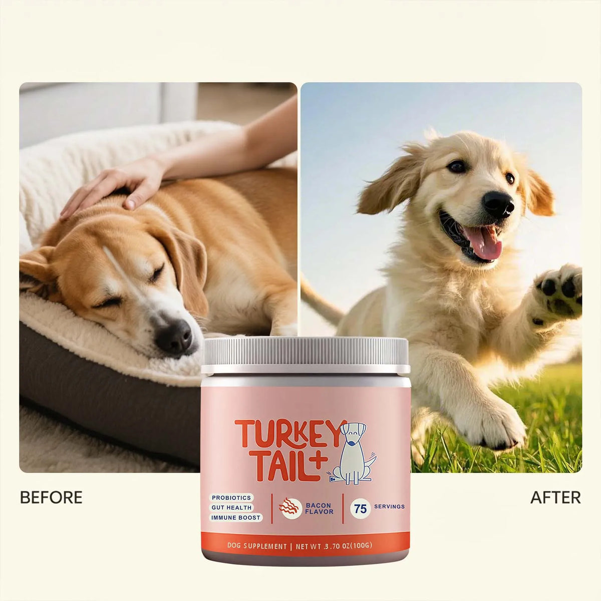 Poudre probiotique pour chien 100 g – CLEVI Paris