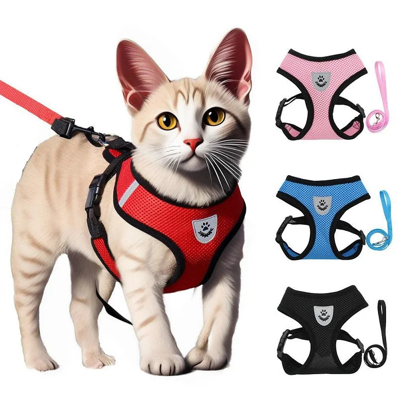 Harnais réfléchissant et laisse pour chat – CLEVI Paris