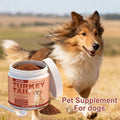 Complément chien senior en poudre 100 g – CLEVI Paris