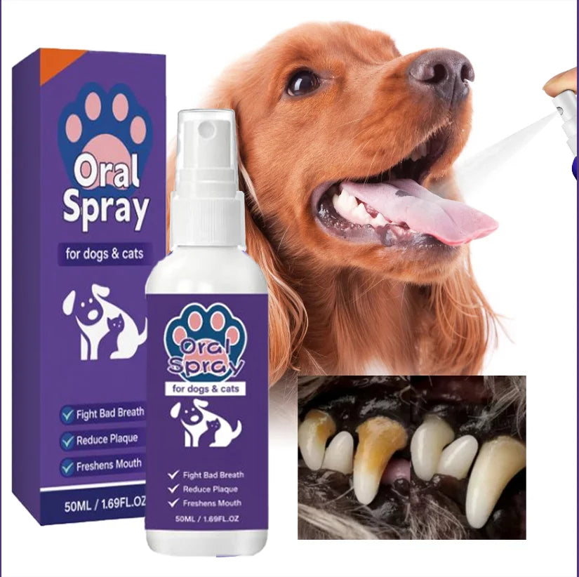 Spray buccal 30 ml et lingettes animaux – CLEVI Paris