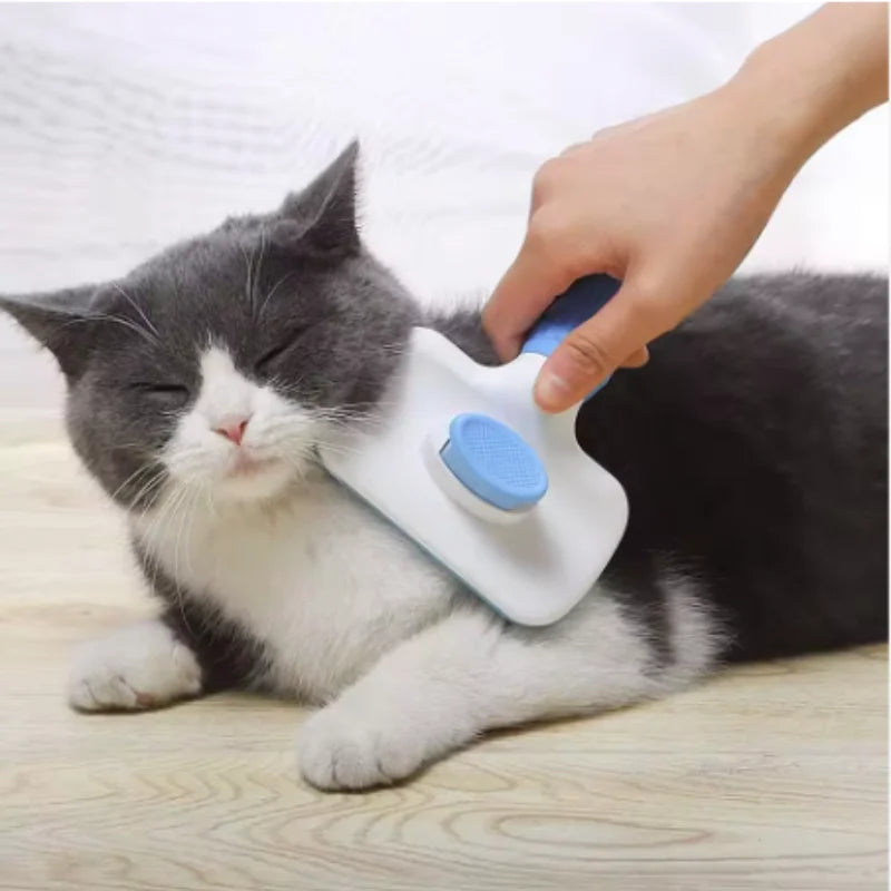Brosse autonettoyante pour chien et chat – CLEVI Paris