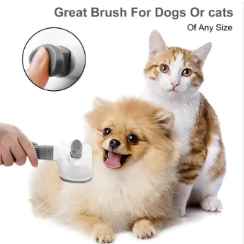 Brosse autonettoyante pour chien et chat – CLEVI Paris