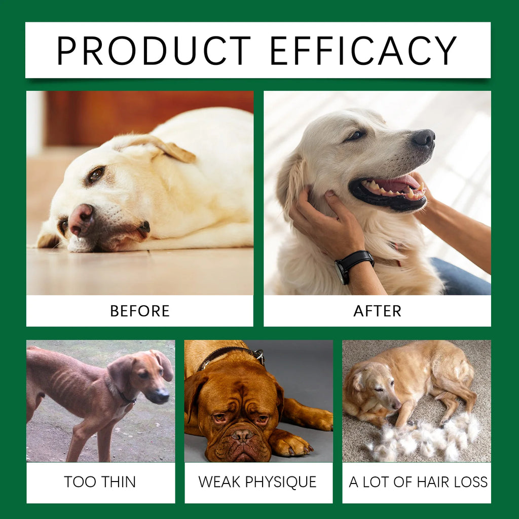 Complément multivitaminé chien YEGBONG – CLEVI Paris