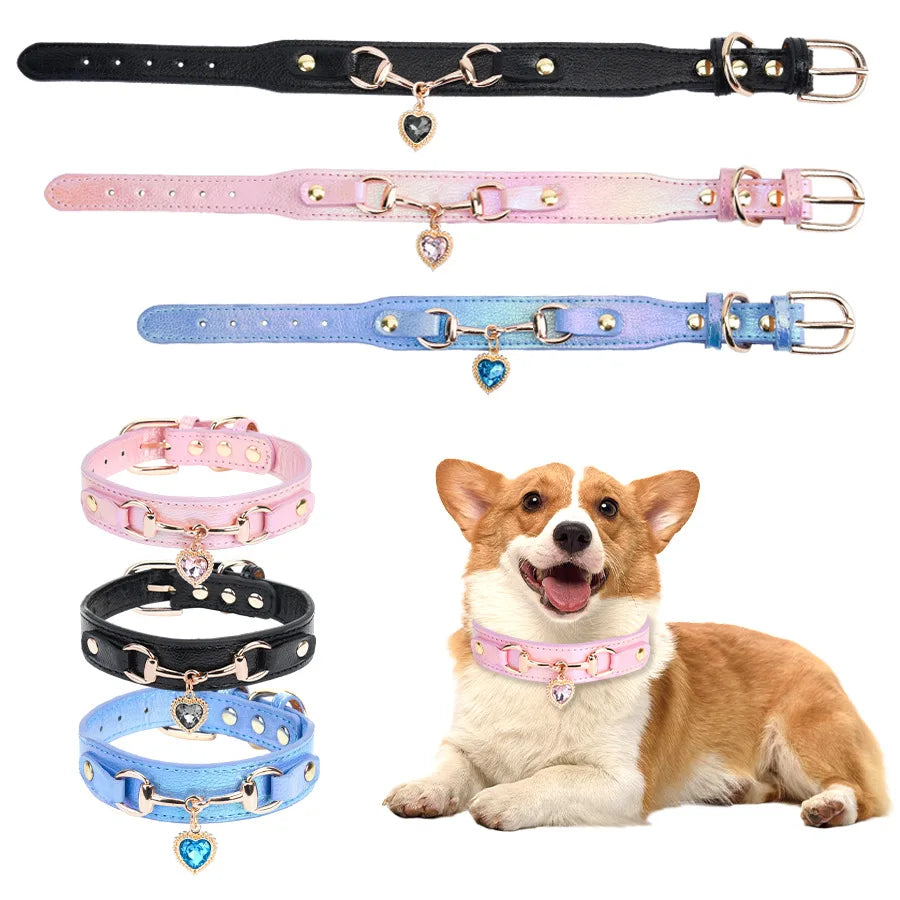Collier pour chien en cuir et strass réglable – CLEVI Paris