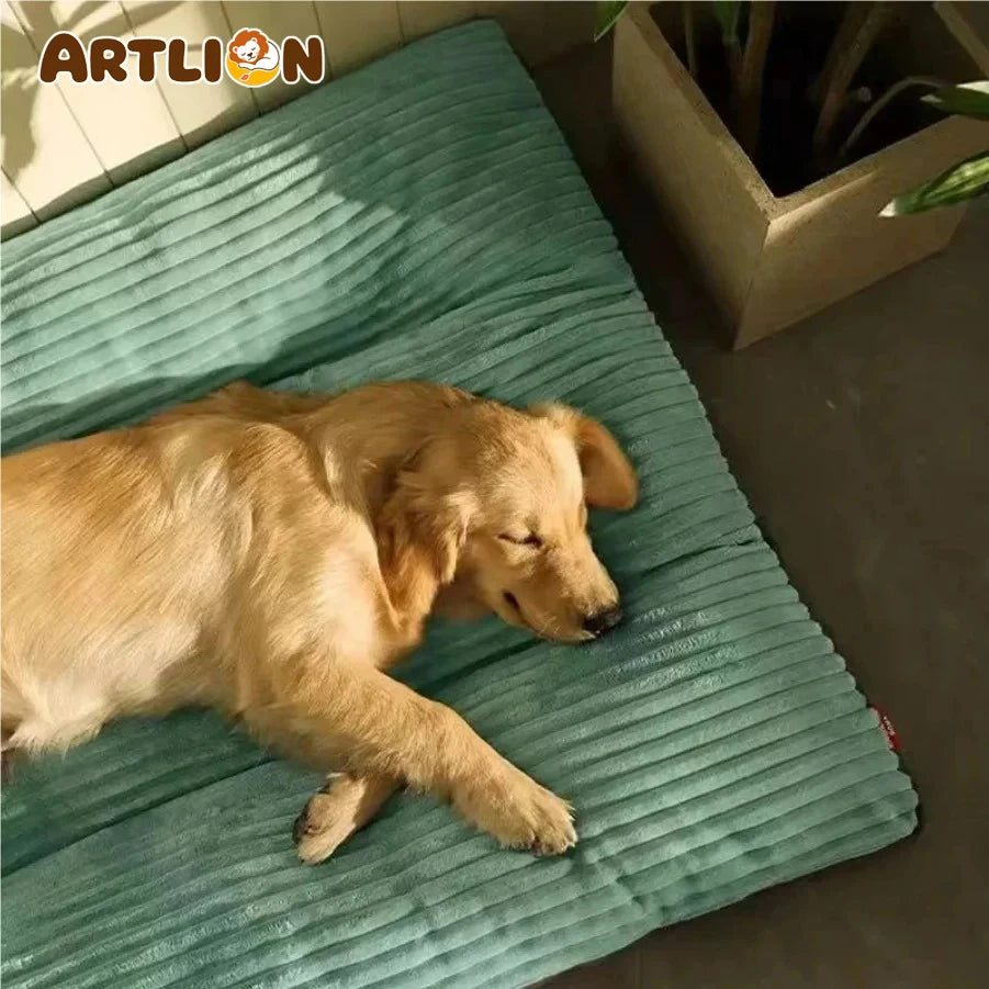 Coussin pour chien en velours côtelé lavable – CLEVI Paris
