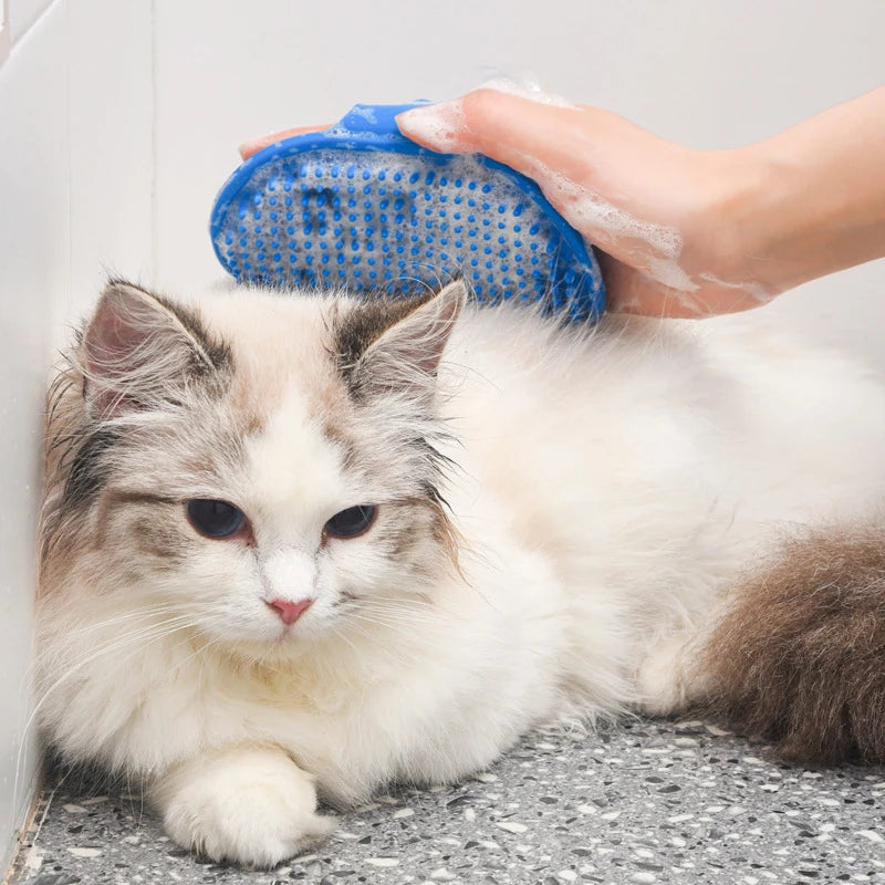 Brosse de bain souple pour chien et chat – CLEVI Paris