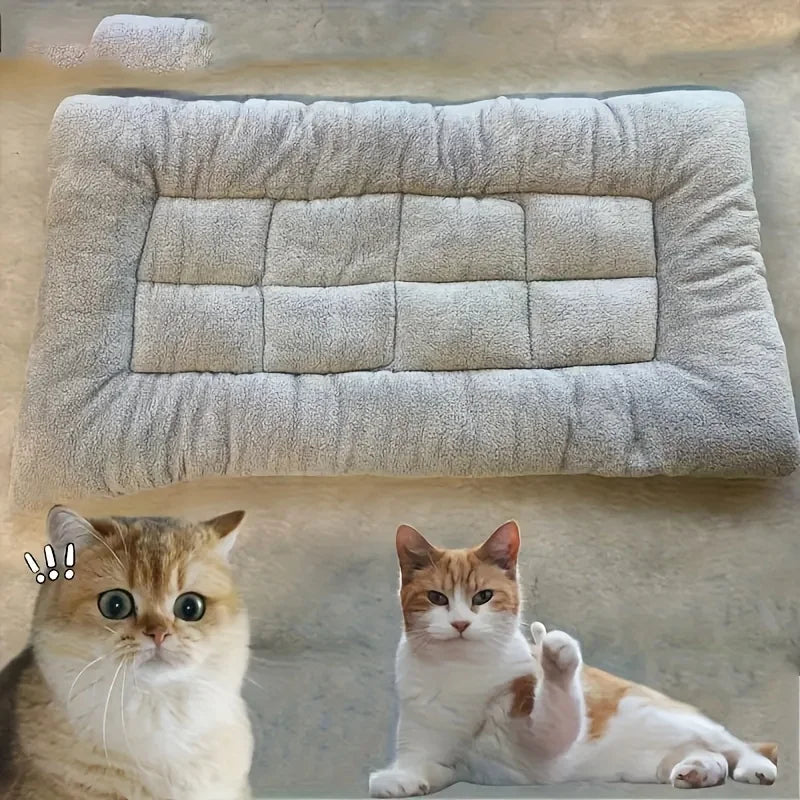 Coussin rectangulaire pour chien et chat – CLEVI Paris