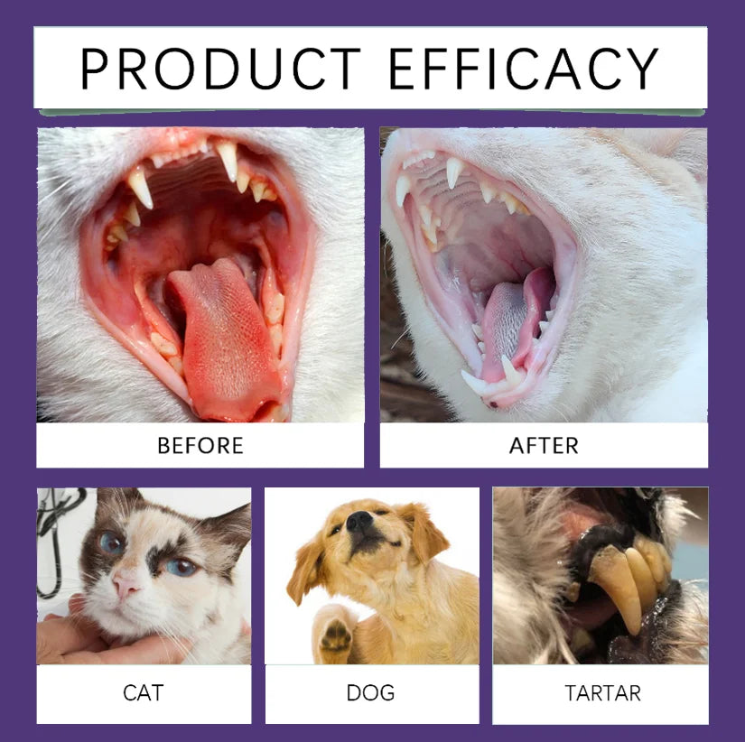 Spray bucco-dentaire pour chiens et chats – CLEVI Paris