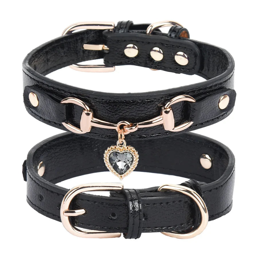 Collier pour chien en cuir et strass réglable – CLEVI Paris