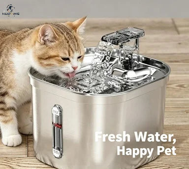 Fontaine à eau USB 2 L pour chat et chien – CLEVI Paris