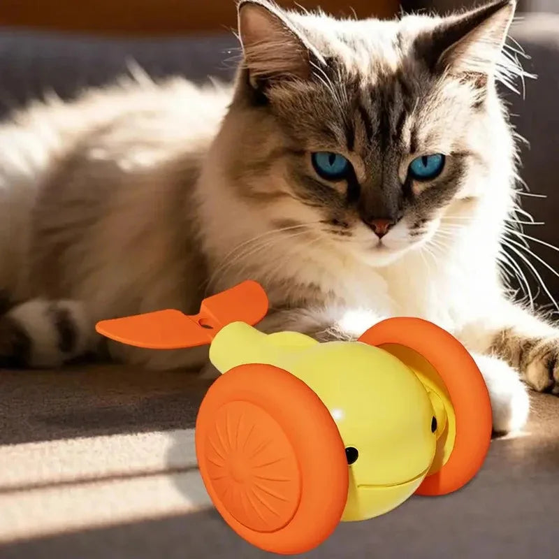Jouet interactif électrique pour chat – CLEVI Paris