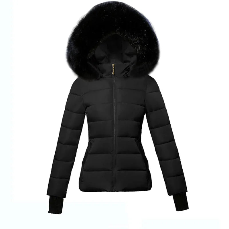 Parka Femme Coton Capuche Col Fourrure Slim Hiver XS-XXL – CLEVI Paris