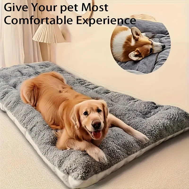 Coussin rectangulaire pour chien et chat – CLEVI Paris