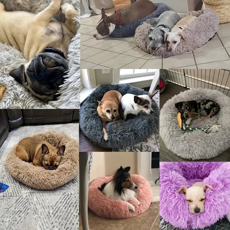 Panier rond en peluche pour chien et chat – CLEVI Paris