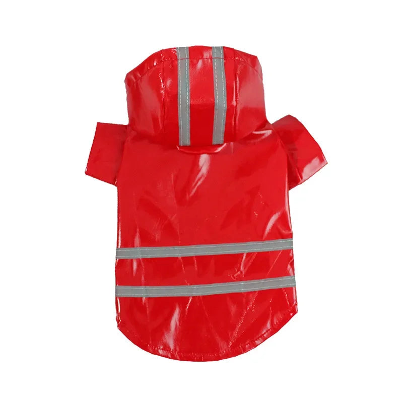 Imperméable réfléchissant pour petit chien – CLEVI Paris