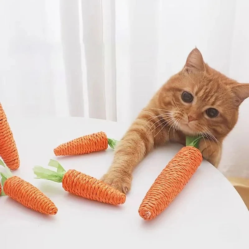Jouet Carotte Sonore pour Chat – Bâton Câlin & Anti‑Morsure – CLEVI Paris