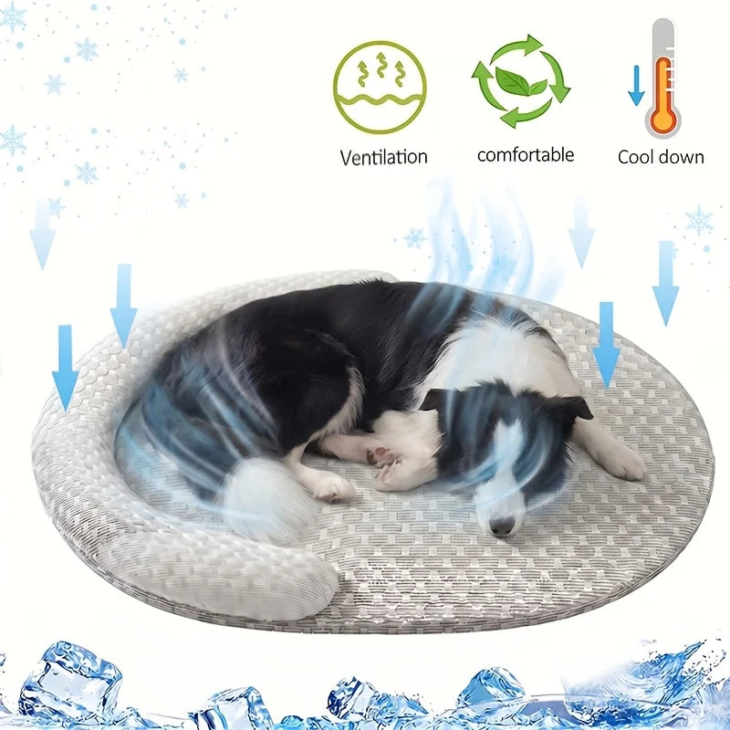 Tapis rafraîchissant pour chien et chat – CLEVI Paris