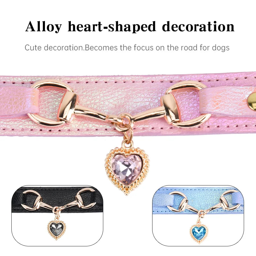 Collier pour chien en cuir et strass réglable – CLEVI Paris