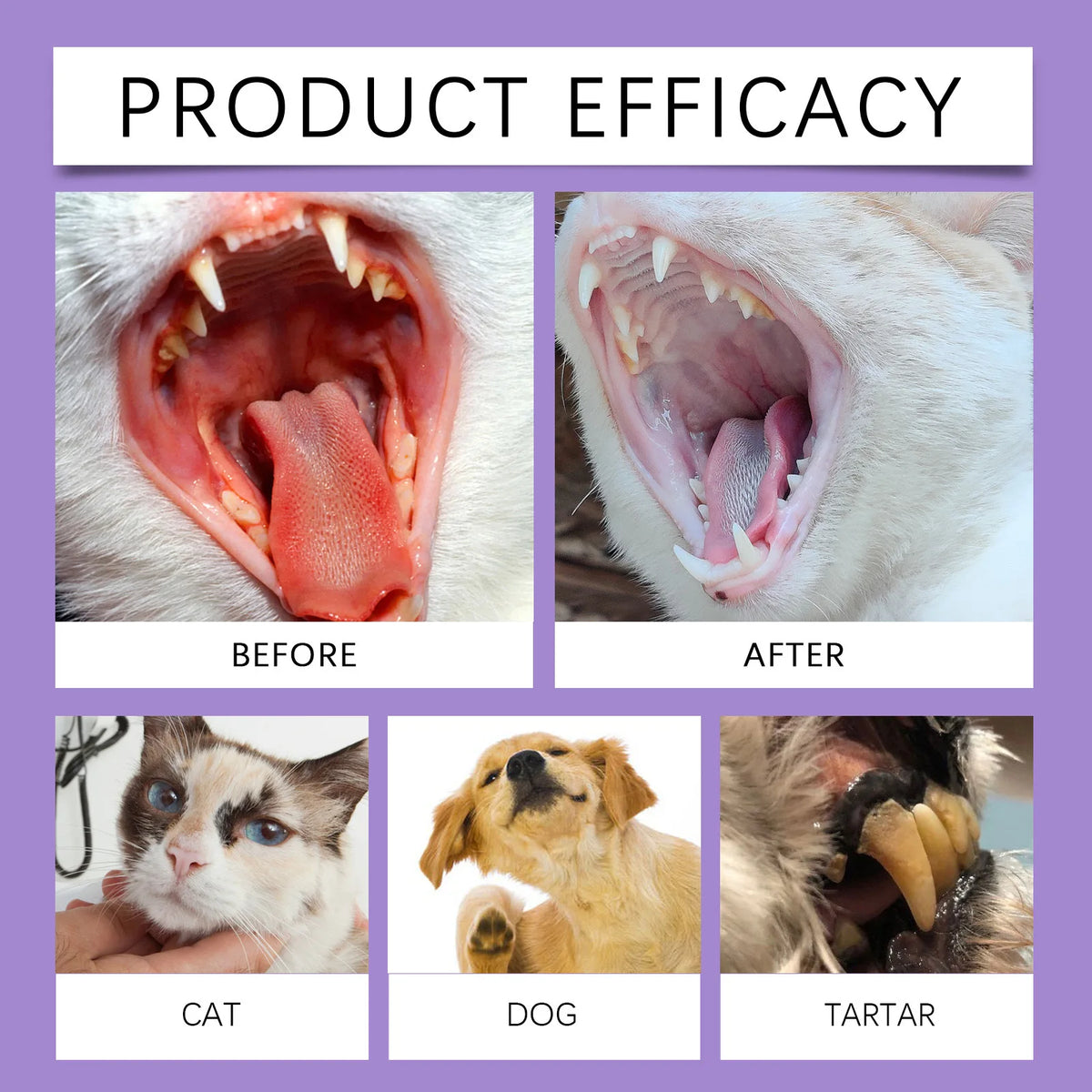 Spray buccal chien et chat 50 ml – CLEVI Paris