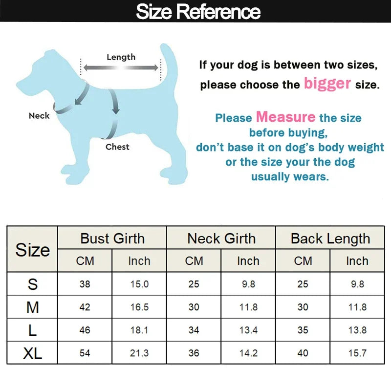 Imperméable réfléchissant pour petit chien – CLEVI Paris