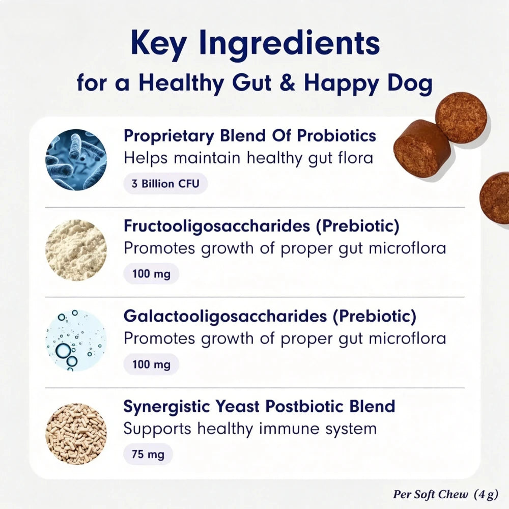 Probiotiques pour chiens, saveur bœuf – CLEVI Paris