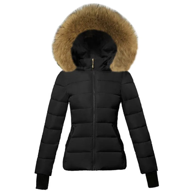 Parka Femme Coton Capuche Col Fourrure Slim Hiver XS-XXL – CLEVI Paris