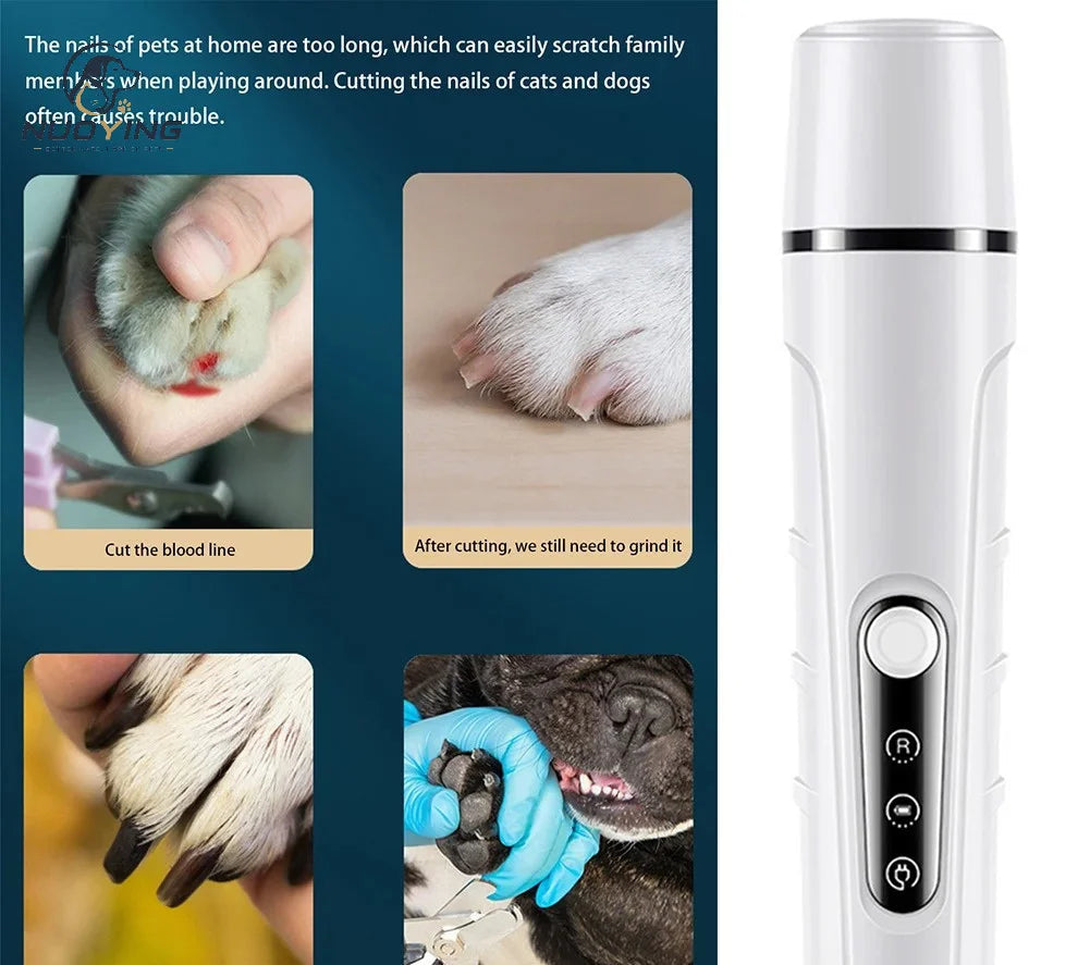 Lime à griffes rechargeable LED chien et chat – CLEVI Paris