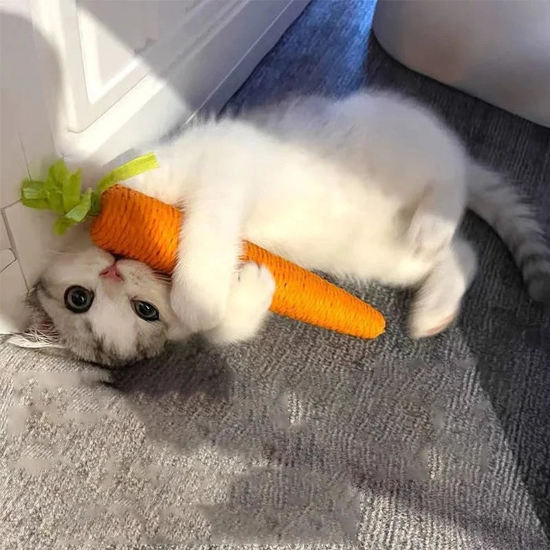 Jouet Chat Carotte Sonore Anti-Morsure — CLEVI Paris