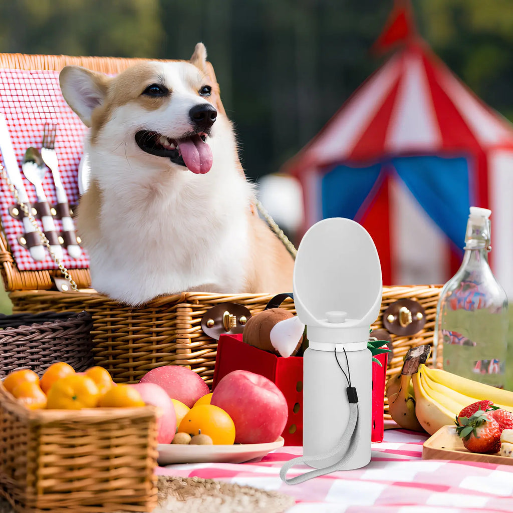 Gourde pliable pour chien 550 ml – CLEVI Paris