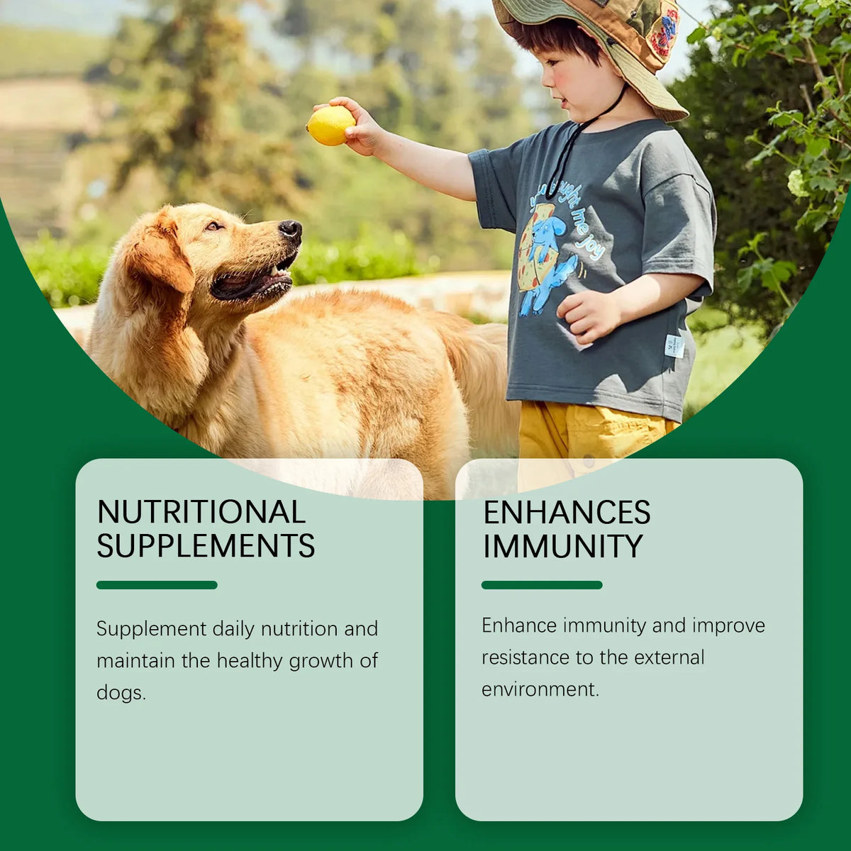 Complément multivitaminé pour chien – CLEVI Paris