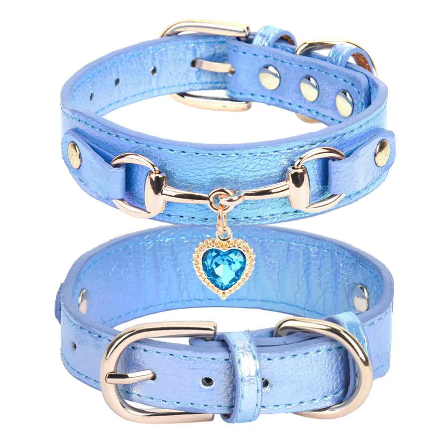 Collier pour chien en cuir et strass réglable – CLEVI Paris